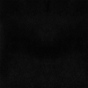 Camoscio Nero